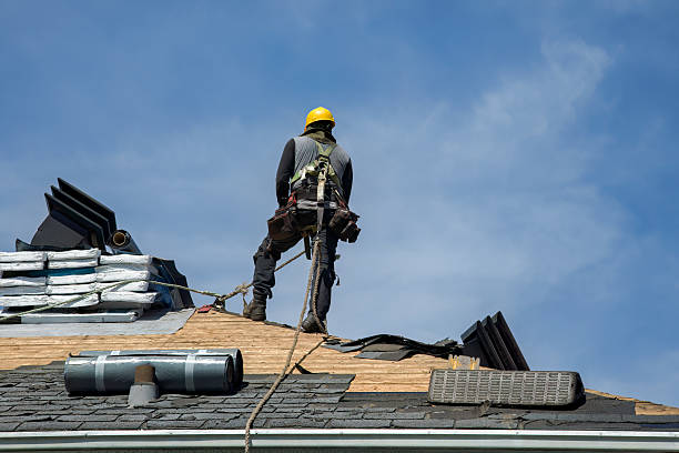 Professional Roof Replacement technician working in Fremont, MI